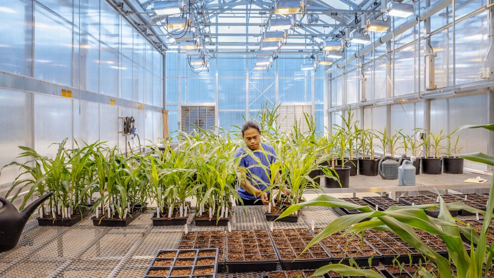 Agriculture Center